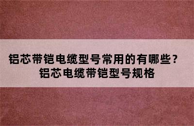 铝芯带铠电缆型号常用的有哪些？ 铝芯电缆带铠型号规格